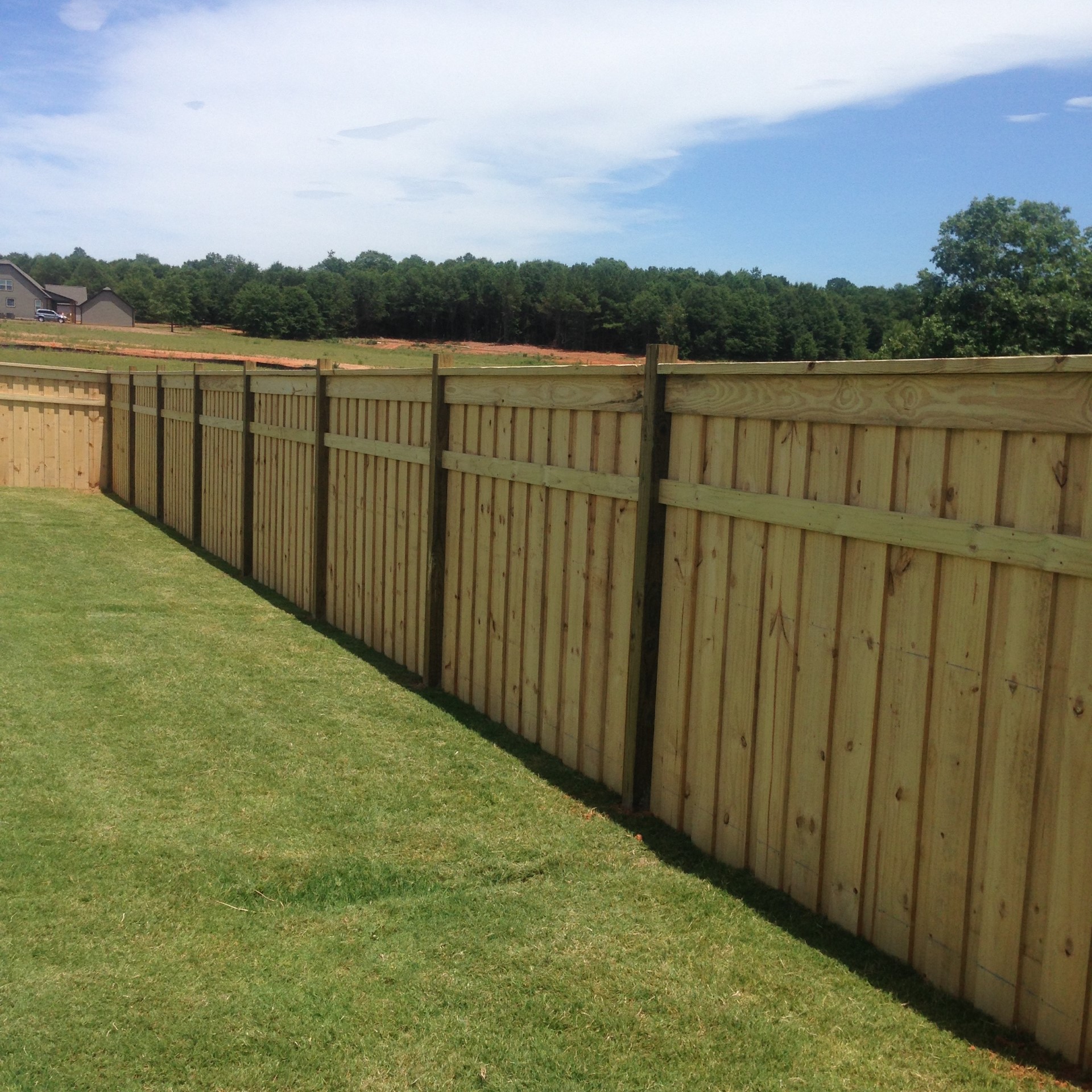 Backyard Privacy Fence